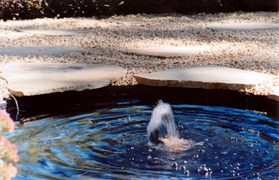 Melbourne International Flower & Garden Show 2003