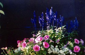 Melbourne International Flower & Garden Show 2003