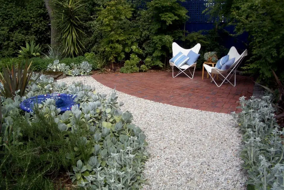 Dry Tolerant